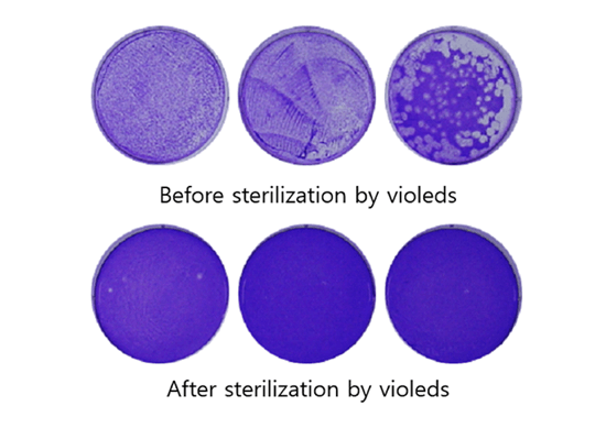 UV LED燈，能不能殺死冠狀病毒？